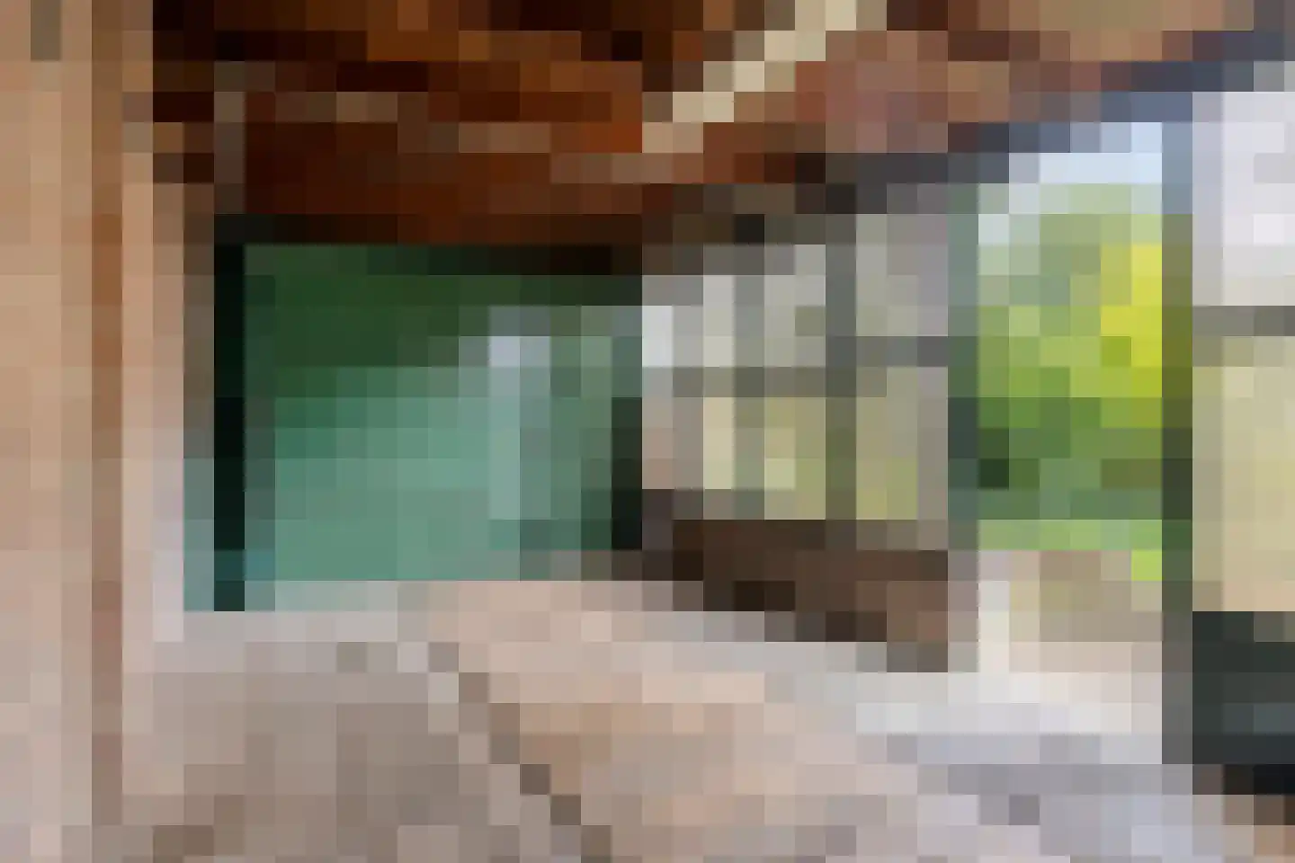 Anthony van Opbergenstraat 19 Eindhoven thumbnail 43