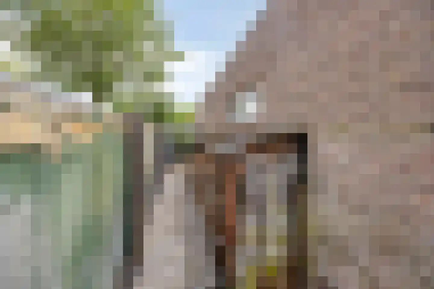 Anthony van Opbergenstraat 19 Eindhoven thumbnail 46