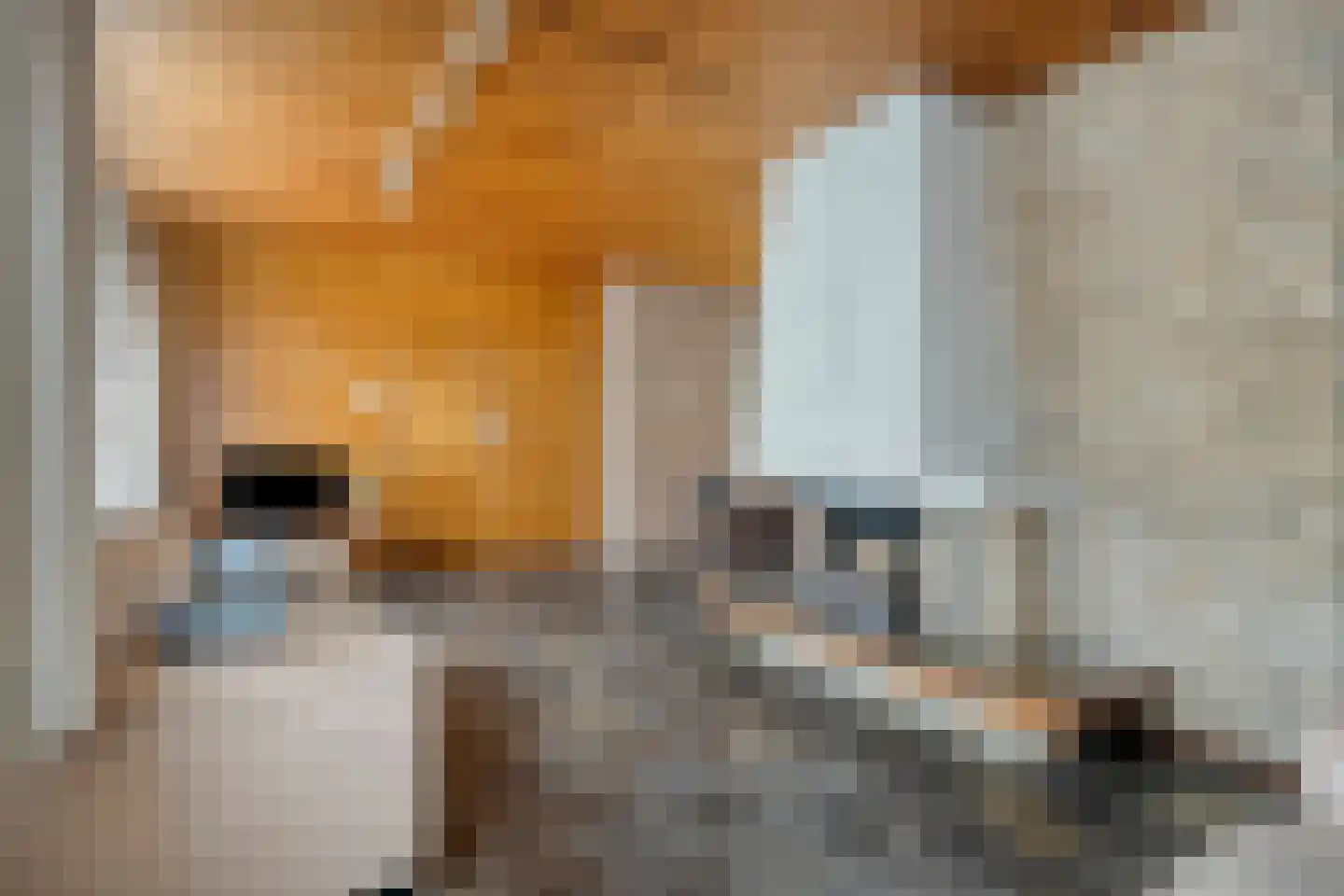 Anthony van Opbergenstraat 19 Eindhoven thumbnail 5