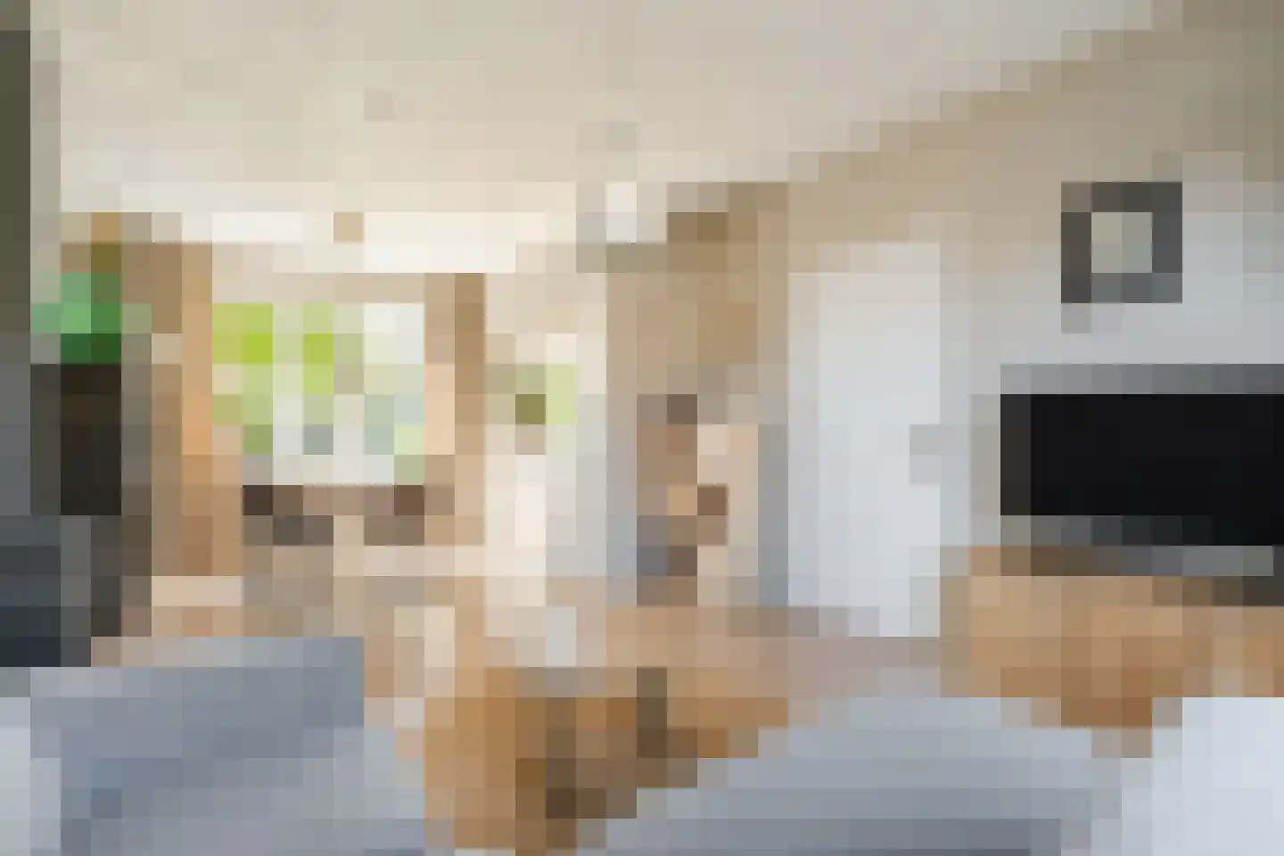 Anthony van Opbergenstraat 5 Eindhoven thumbnail 10