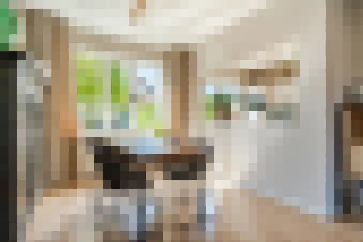 Anthony van Opbergenstraat 5 Eindhoven thumbnail 12