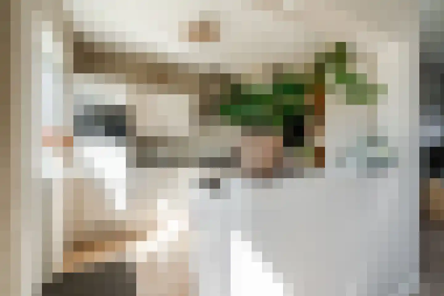 Anthony van Opbergenstraat 5 Eindhoven thumbnail 16
