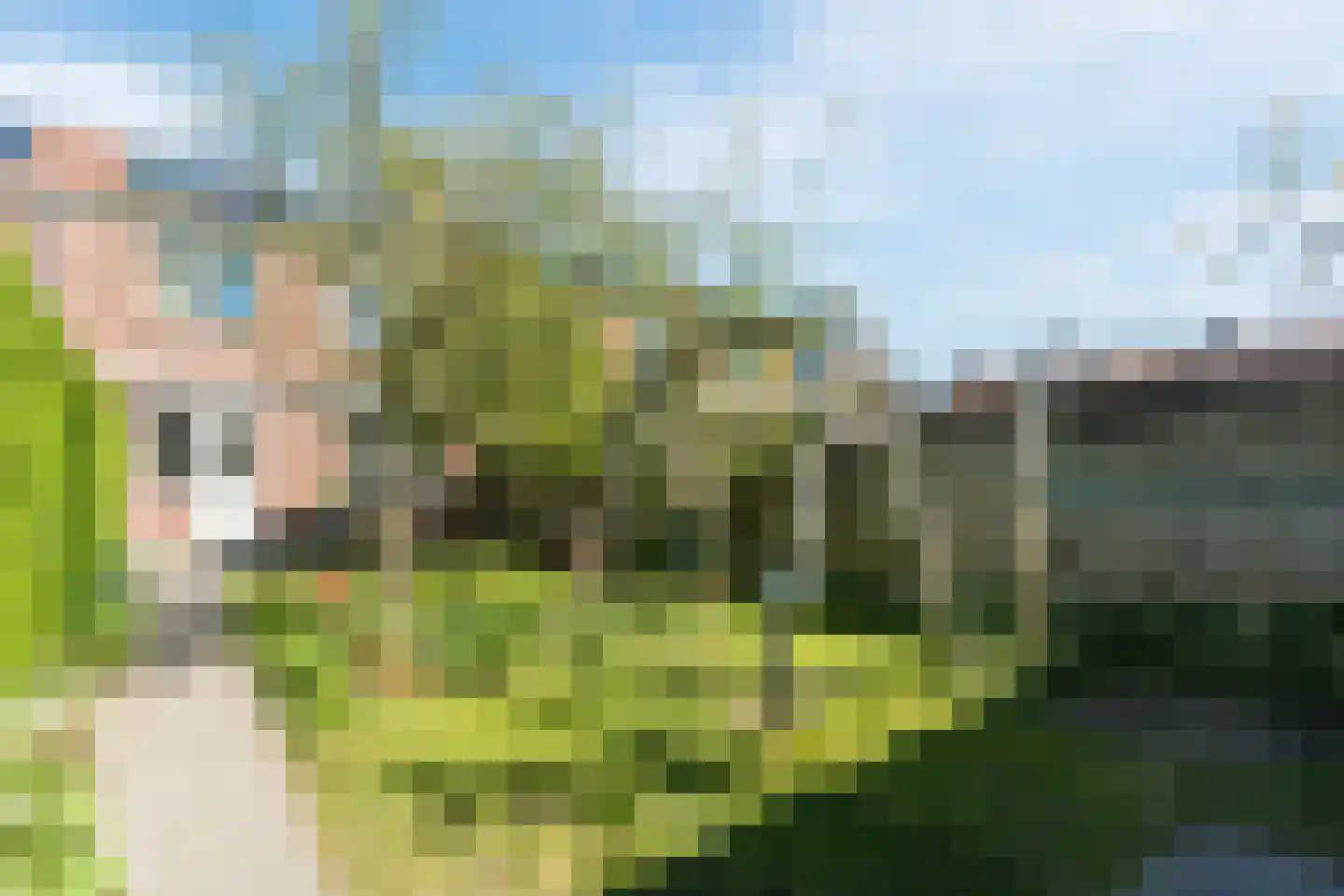Anthony van Opbergenstraat 5 Eindhoven thumbnail 36