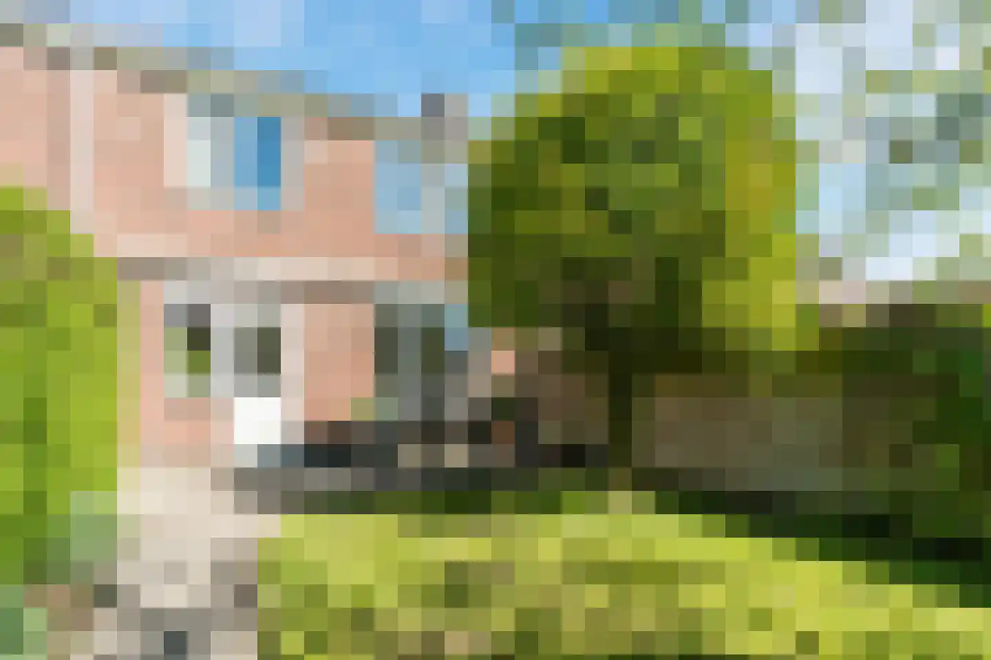 Anthony van Opbergenstraat 5 Eindhoven thumbnail 37