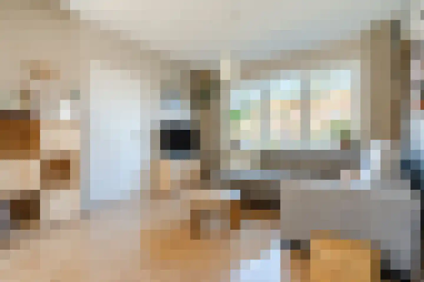 Anthony van Opbergenstraat 5 Eindhoven thumbnail 8