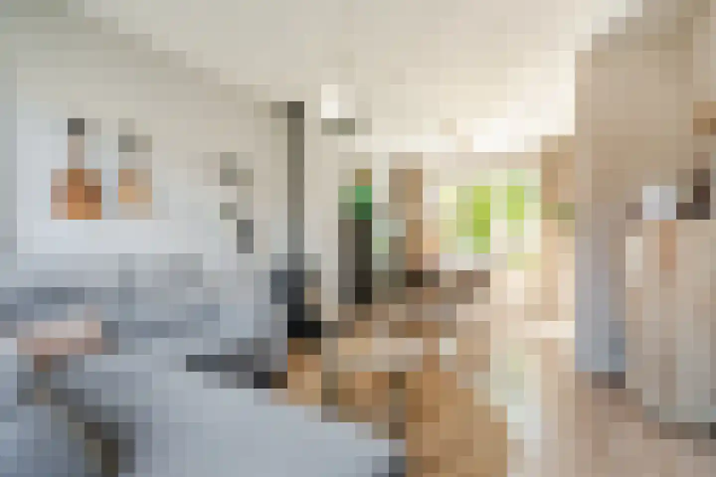 Anthony van Opbergenstraat 5 Eindhoven thumbnail 9