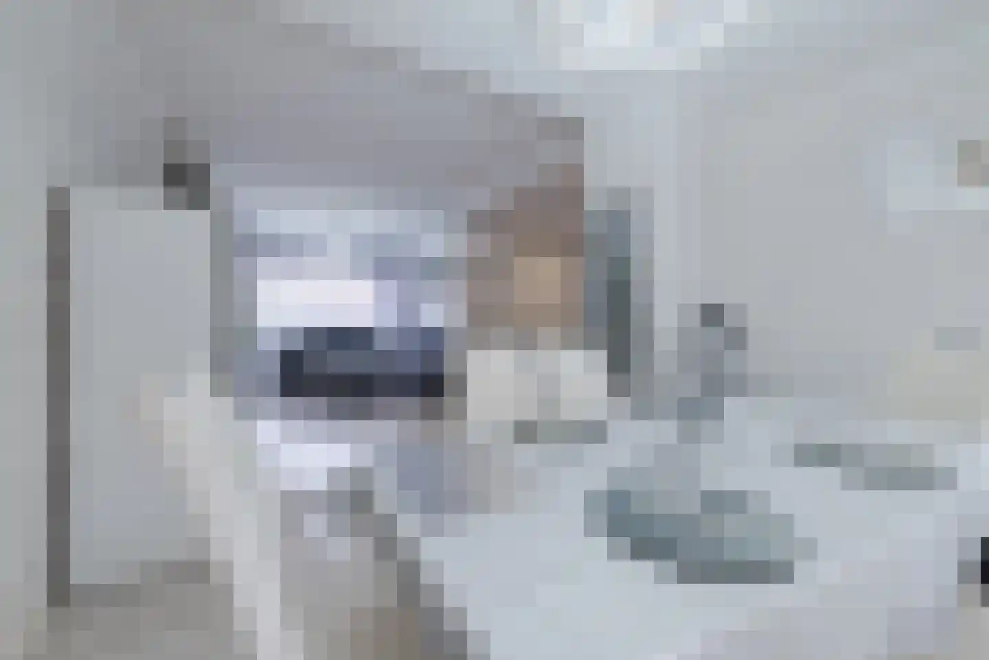 Anthony van Opbergenstraat 6 Eindhoven thumbnail 17