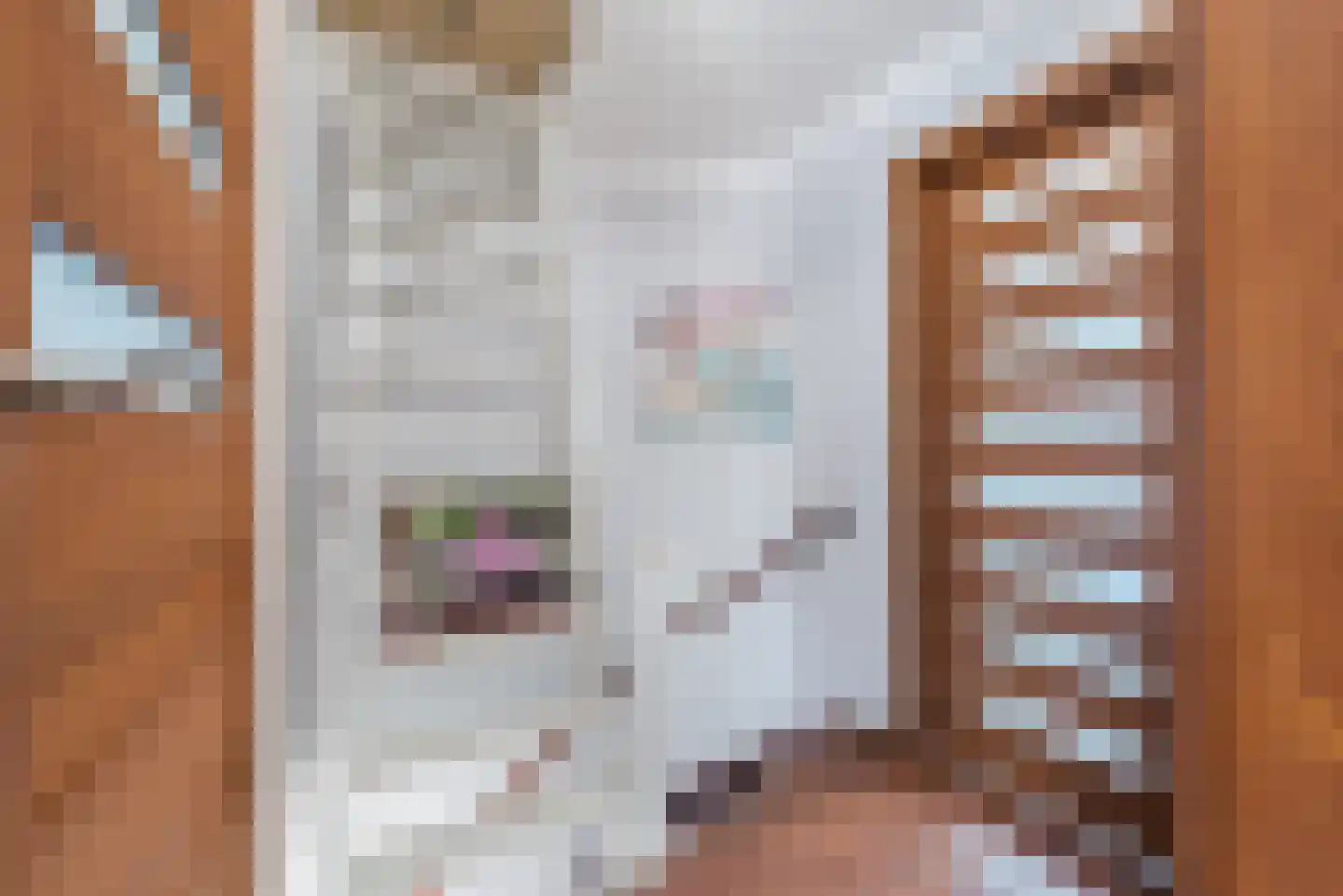 Anthony van Opbergenstraat 6 Eindhoven thumbnail 27