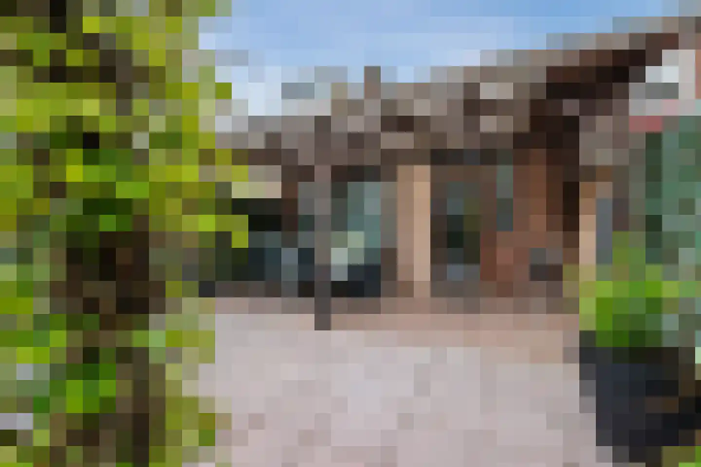 Anthony van Opbergenstraat 6 Eindhoven thumbnail 40