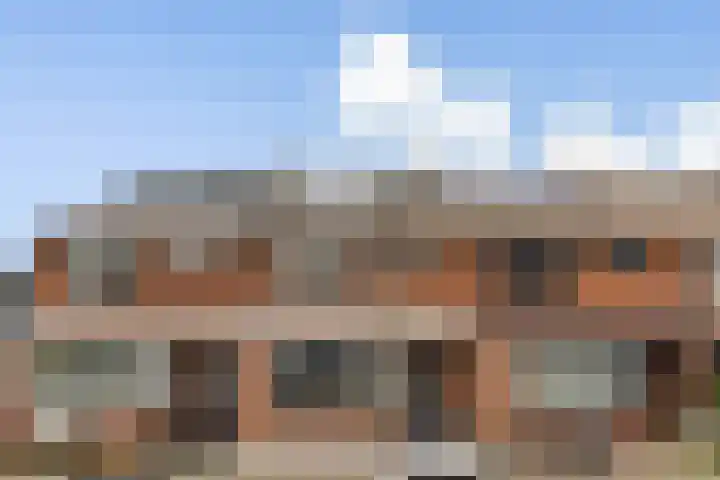 Anthurium 16 in De Lier