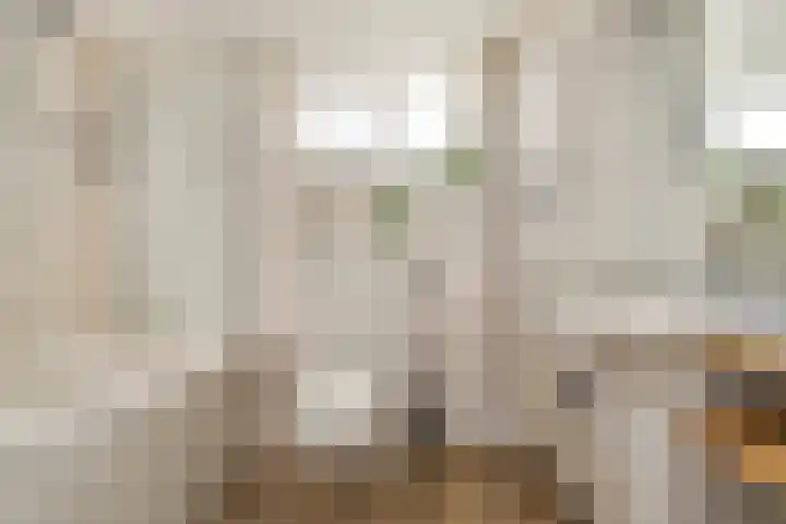 Anthurium 16 De Lier thumbnail 14