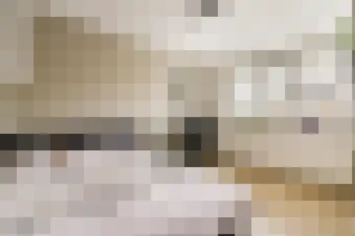 Anthurium 16 De Lier thumbnail 16