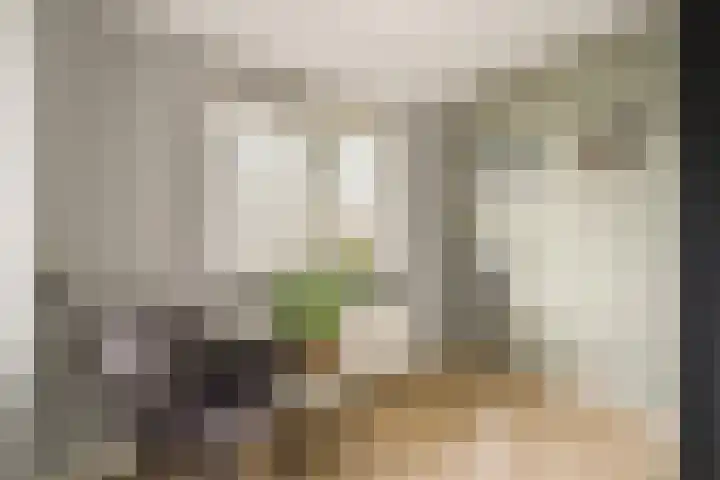 Anthurium 16 De Lier thumbnail 18