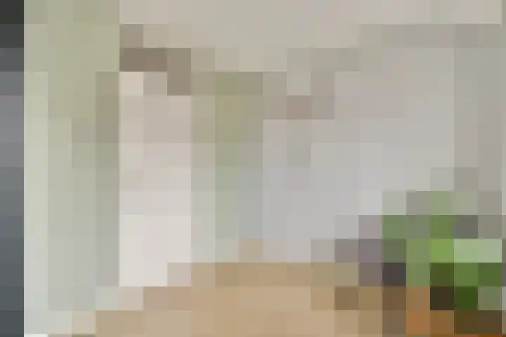 Anthurium 16 De Lier thumbnail 19