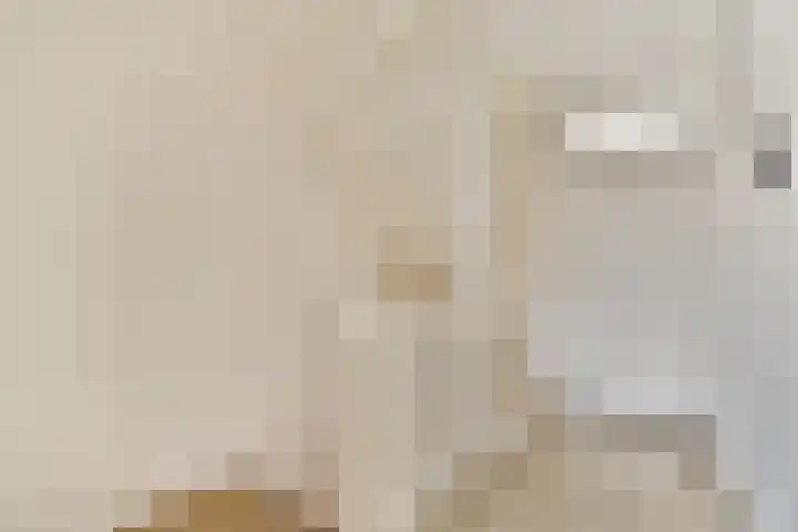 Anthurium 16 De Lier thumbnail 20