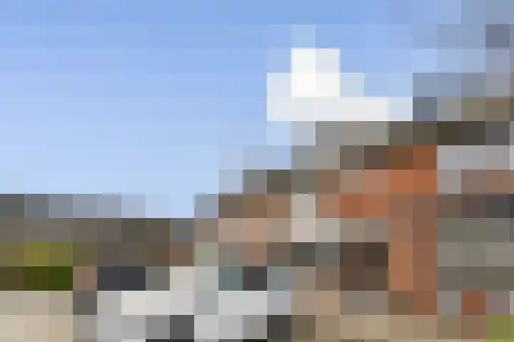 Anthurium 16 De Lier thumbnail 27