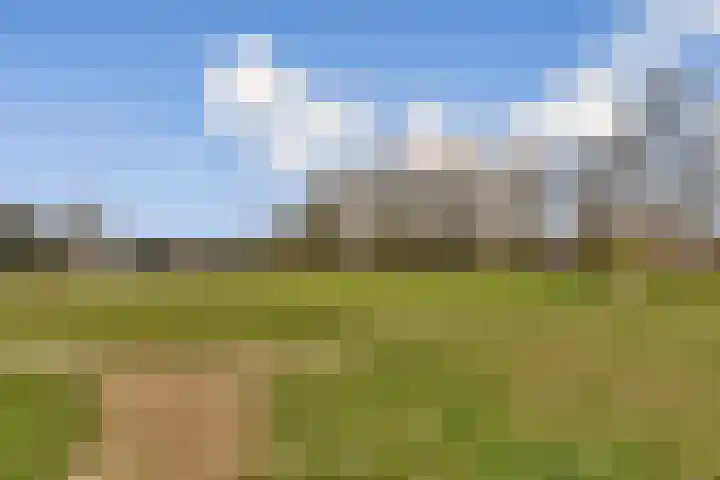 Anthurium 16 De Lier thumbnail 28