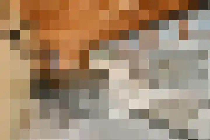 Anthurium 16 De Lier foto 3