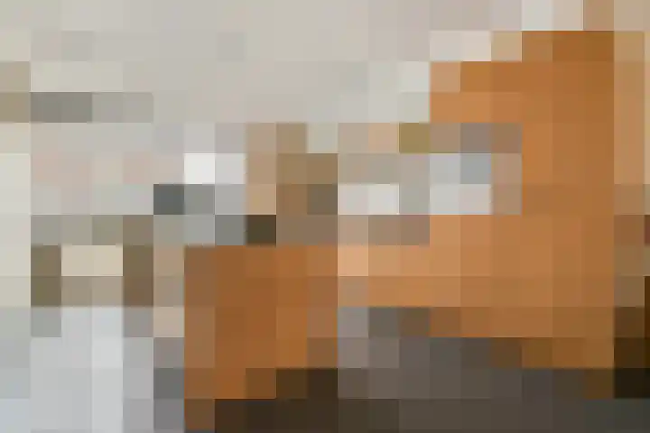 Anthurium 16 De Lier thumbnail 5