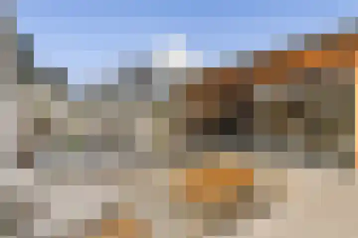 Anthurium 16 De Lier thumbnail 7