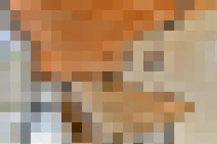 Anthurium 16 De Lier thumbnail 8