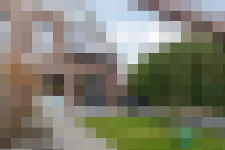 Anthuriumpad 1 Wateringen thumbnail 15