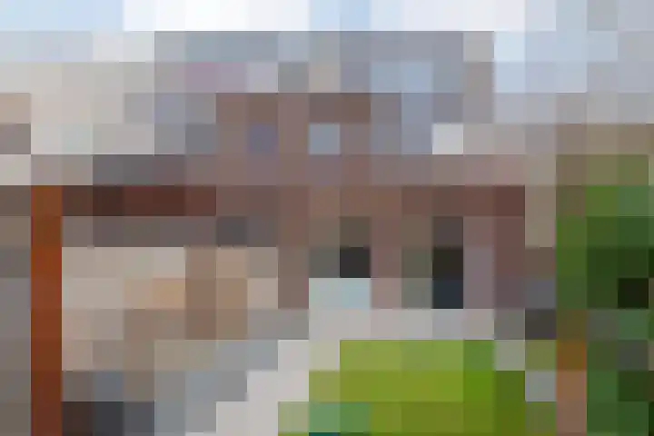 Anthuriumpad 1 Wateringen thumbnail 16