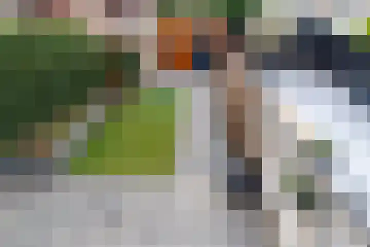 Anthuriumpad 1 Wateringen thumbnail 17