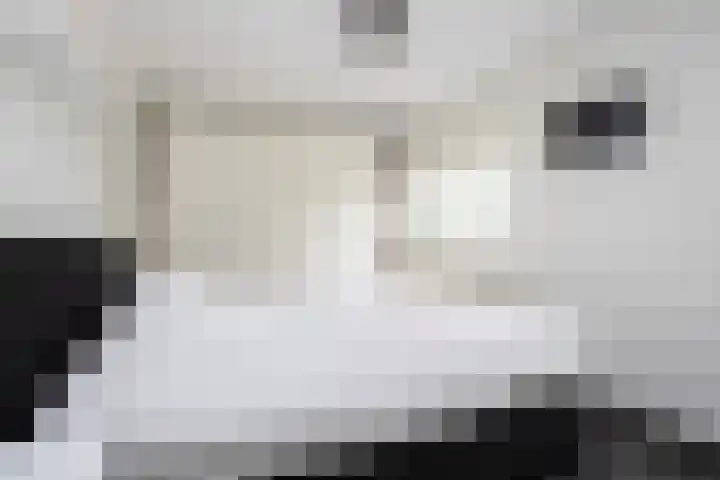 Anthuriumsingel 11 Berkel en Rodenrijs thumbnail 18