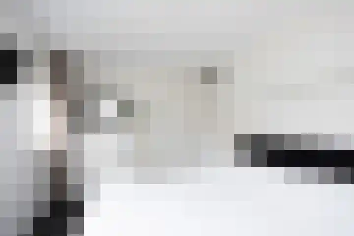 Anthuriumsingel 11 Berkel en Rodenrijs thumbnail 19