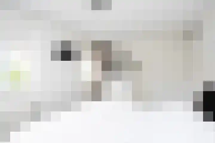 Anthuriumsingel 11 Berkel en Rodenrijs thumbnail 20