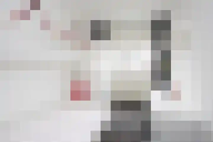 Anthuriumsingel 11 Berkel en Rodenrijs thumbnail 21
