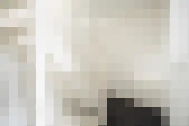 Anthuriumsingel 11 Berkel en Rodenrijs thumbnail 28