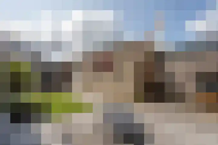 Anthuriumsingel 11 Berkel en Rodenrijs thumbnail 35