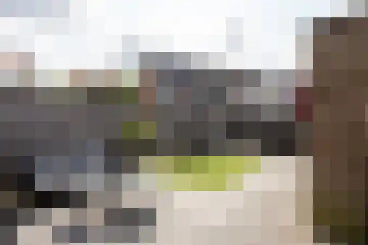 Anthuriumsingel 11 Berkel en Rodenrijs thumbnail 36