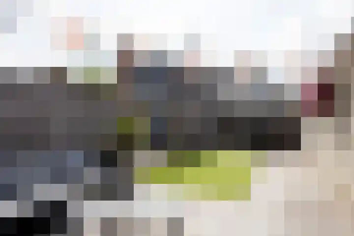 Anthuriumsingel 11 Berkel en Rodenrijs thumbnail 37