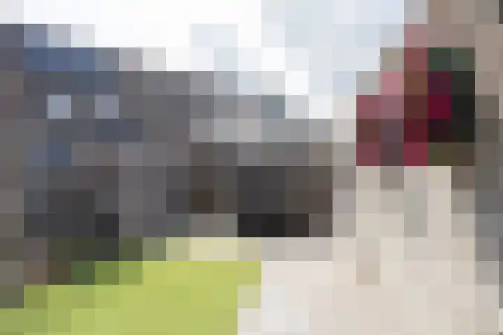 Anthuriumsingel 11 Berkel en Rodenrijs thumbnail 39