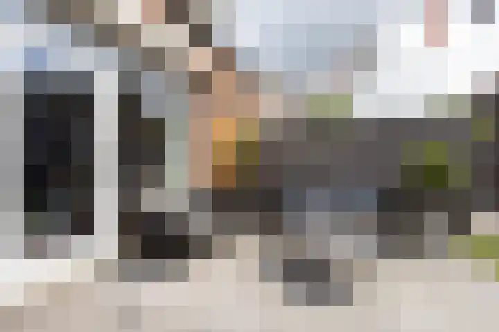 Anthuriumsingel 11 Berkel en Rodenrijs thumbnail 41
