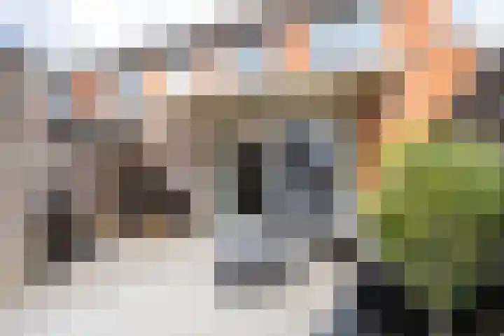 Anthuriumsingel 11 Berkel en Rodenrijs thumbnail 42