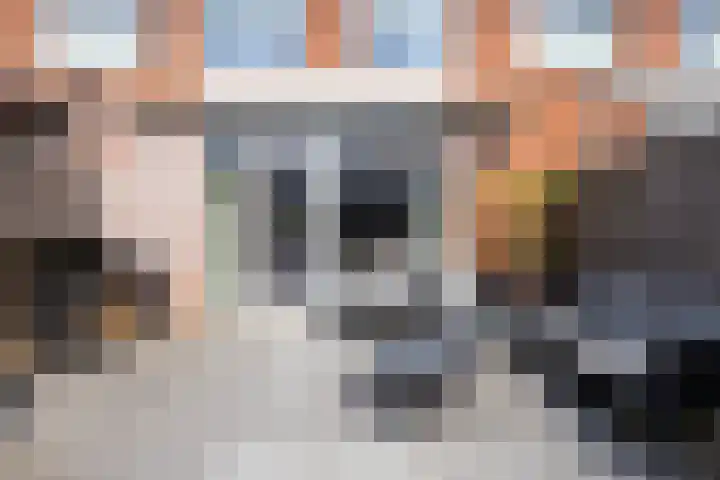 Anthuriumsingel 11 Berkel en Rodenrijs thumbnail 43