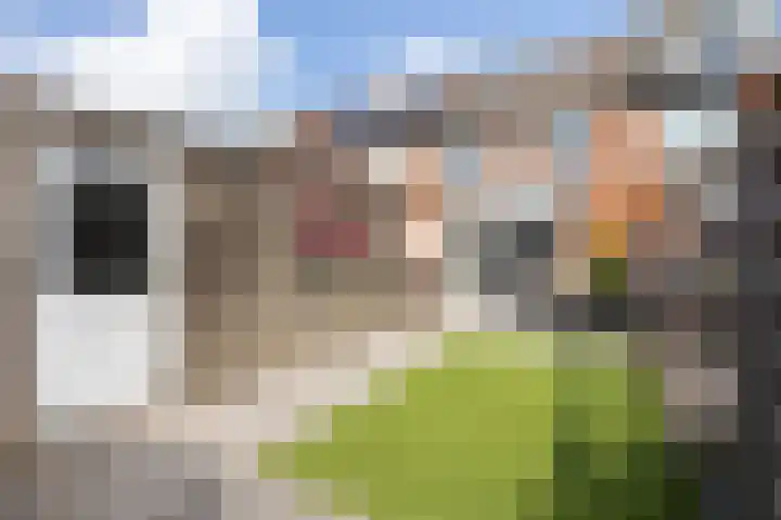 Anthuriumsingel 11 Berkel en Rodenrijs thumbnail 44