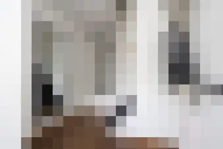 Anthuriumsingel 11 Berkel en Rodenrijs thumbnail 5