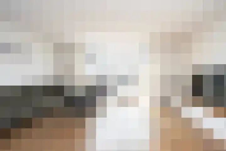 Anthuriumsingel 11 Berkel en Rodenrijs thumbnail 8