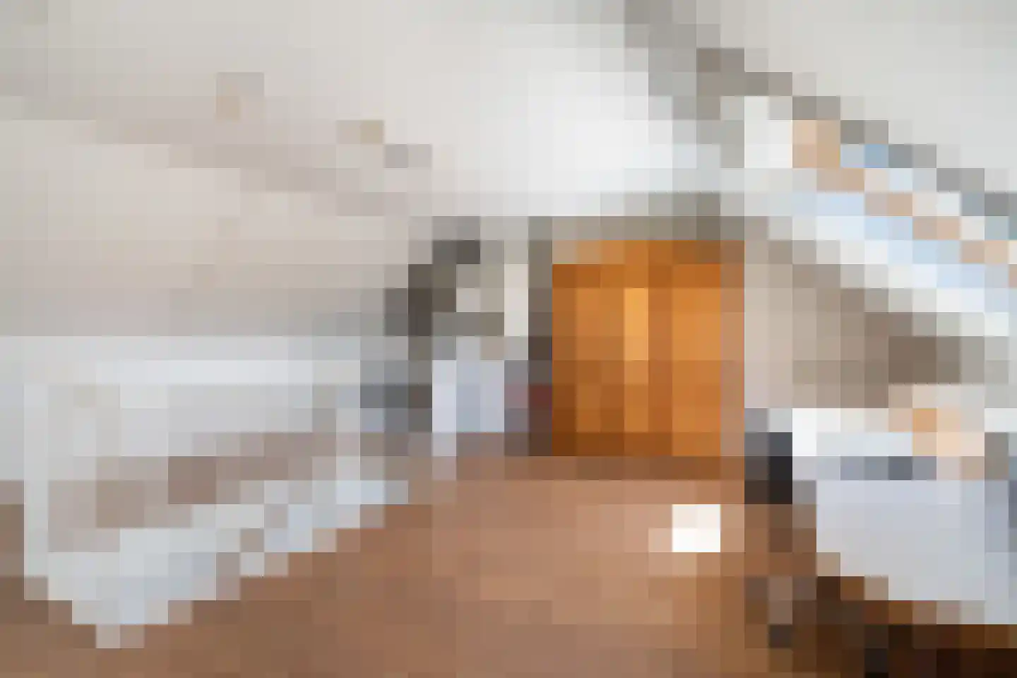 Anthuriumsingel 35 Berkel en Rodenrijs thumbnail 30