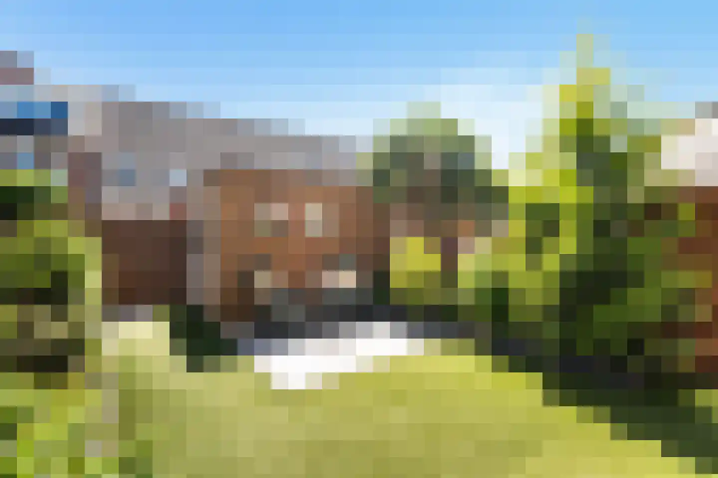 Anthuriumsingel 35 Berkel en Rodenrijs thumbnail 33