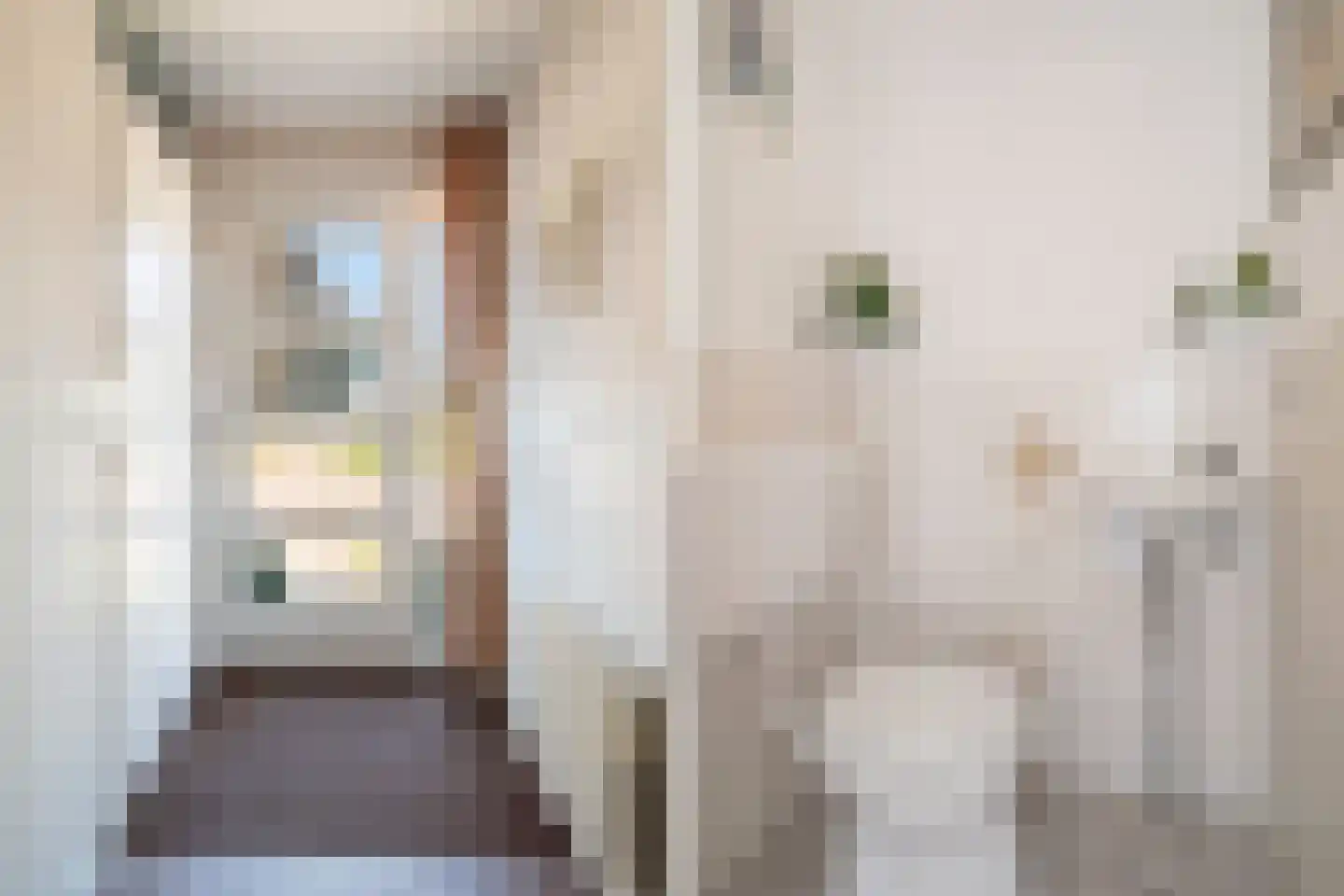 Anthuriumsingel 35 Berkel en Rodenrijs thumbnail 8