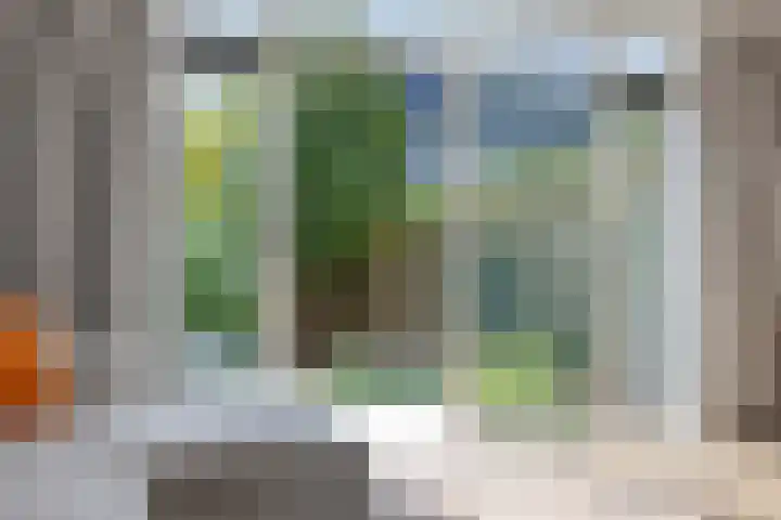 Anthuriumsingel 47 Berkel en Rodenrijs thumbnail 16