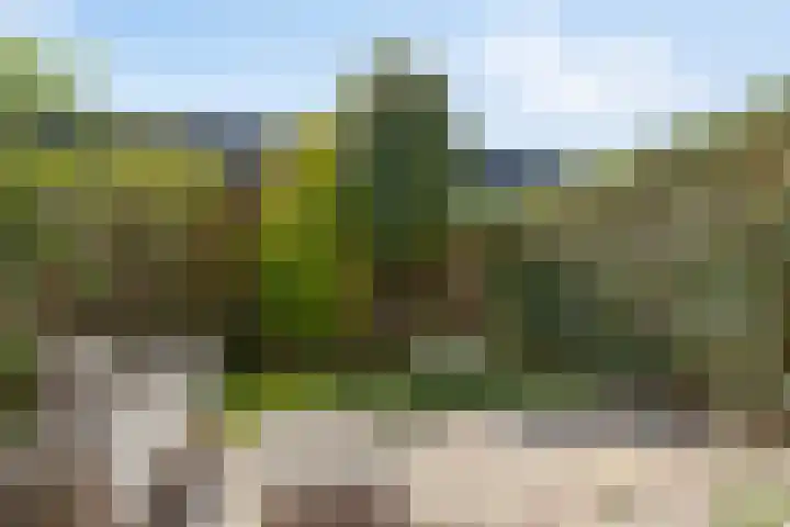 Anthuriumsingel 47 Berkel en Rodenrijs thumbnail 17