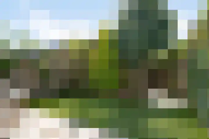 Anthuriumsingel 47 Berkel en Rodenrijs thumbnail 18