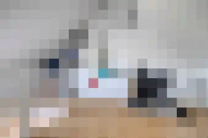 Anthuriumsingel 47 Berkel en Rodenrijs thumbnail 33
